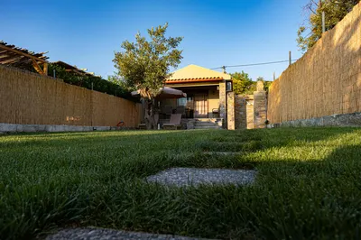 Κήπος με ελιά στη Villa Elena, δίπλα στην παραλία του Πηλίου