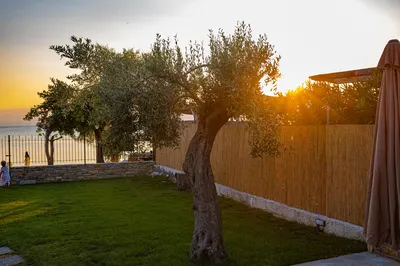Εξωτερική βεράντα της Villa Elena στην Άφησσο